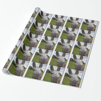 Papier Cadeau Andy