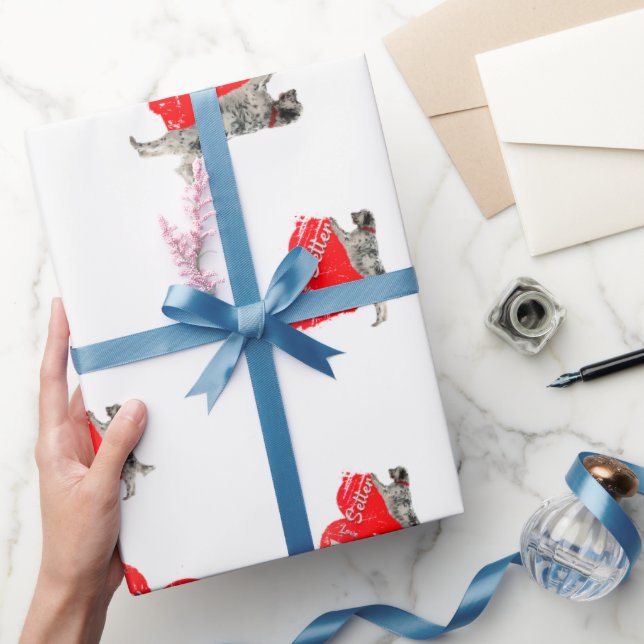 Papier Cadeau Anglais Setter, Chasse Chien Jeter Oreiller Boisso (Cadeaux)