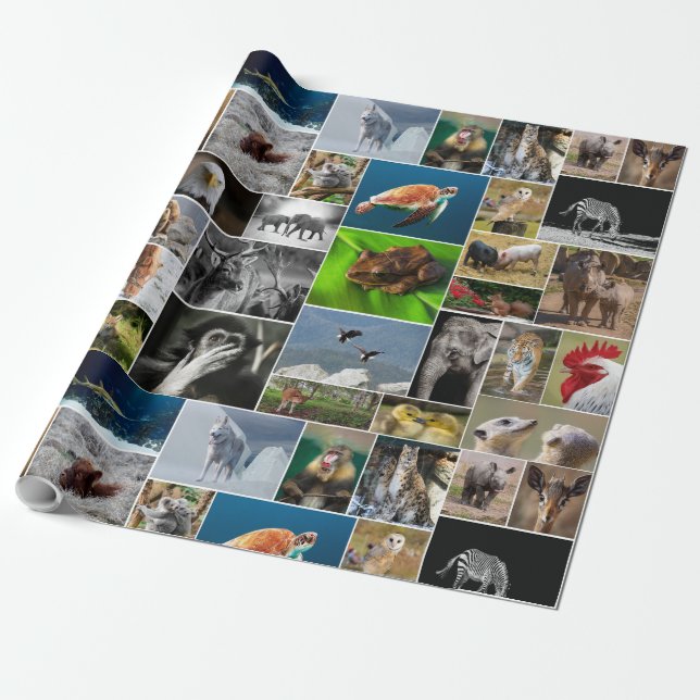 Papier Cadeau Animal (Déroulé)