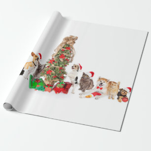 Papier Cadeau Animaux de compagnie autour du papier d'enveloppem