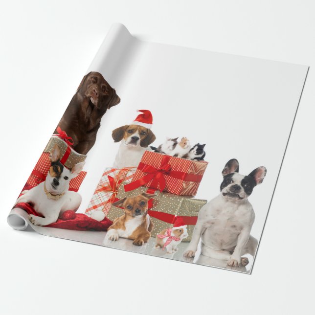 Papier Cadeau Animaux de compagnie dans le chapeau du Père Noël  (Déroulé)