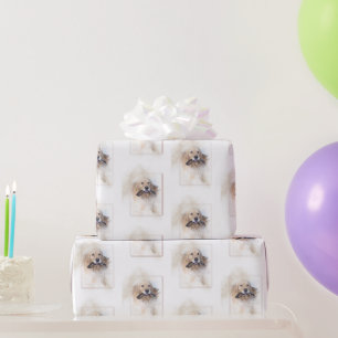 Papier Cadeau Anniversaire Golden Retriever
