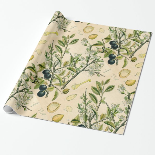 Papier Cadeau Antique Blackthorn Botanique Imprimé Fleur Berry (Déroulé)