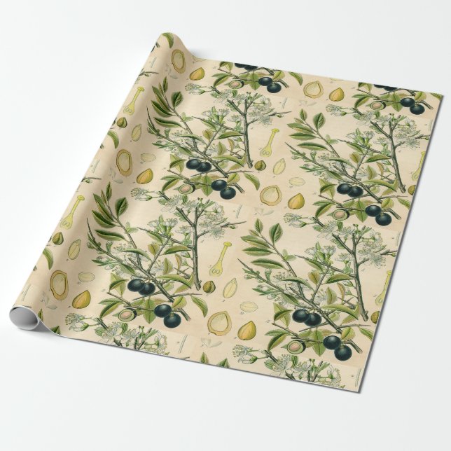 Papier Cadeau Antique Blackthorn Botanique Imprimé Fleur Berry (Déroulé)