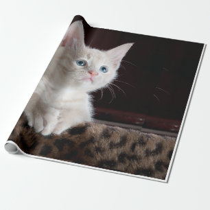 Papier Cadeau apparence du chat