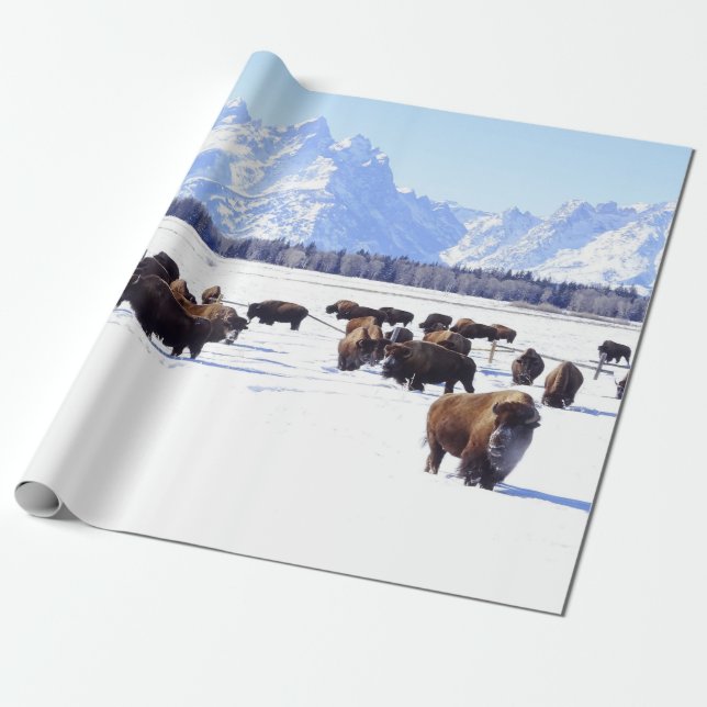 Papier Cadeau Apport de la maison d'extérieur (Déroulé)