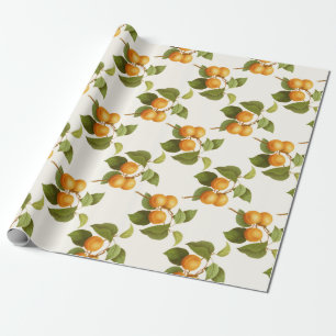 Papier Cadeau Apricot