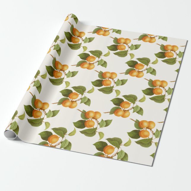 Papier Cadeau Apricot (Déroulé)