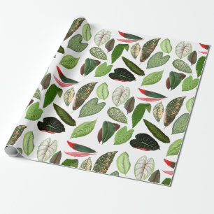 Papier Cadeau Aquarelle botanique Vintage verdure Feuilles