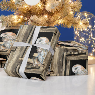 Papier Cadeau Aquarelle Chouette de la grange dans la fenêtre Oi