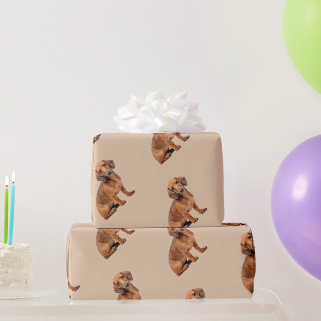 Papier Cadeau Aquarelle Daschund chien animal animal animal anim (Cadeaux de fête)