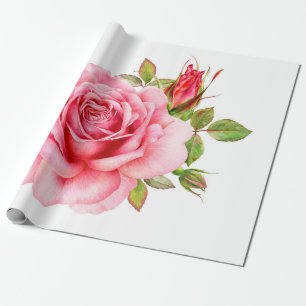 Papier Cadeau Aquarelle illustration d'une rose rose wi délicate