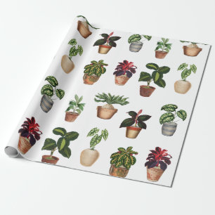 Papier Cadeau Aquarelle Pots Plante Motif Pots en terre cuite