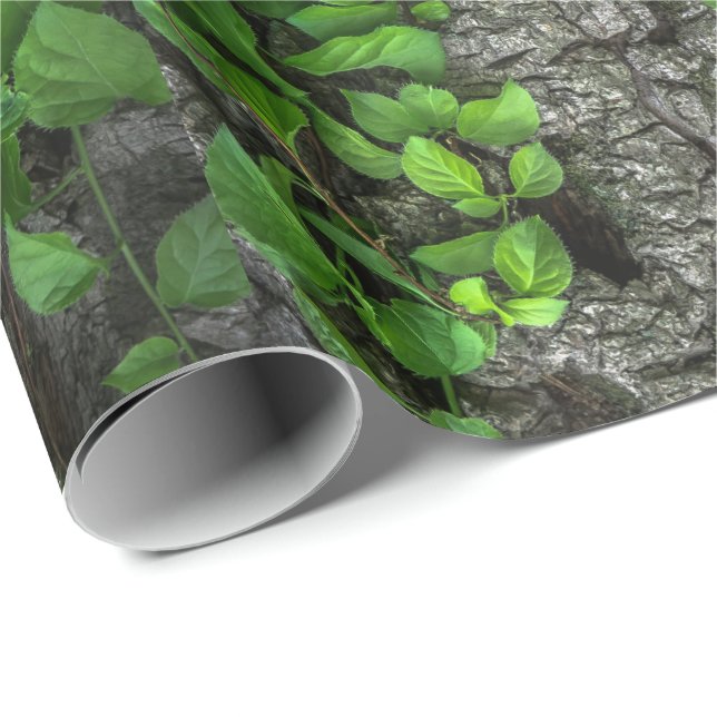 Papier Cadeau Arbre couvert de vigne (Coin rond)