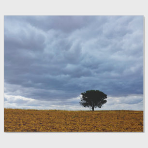 Papier Cadeau Arbre dans un champ vide