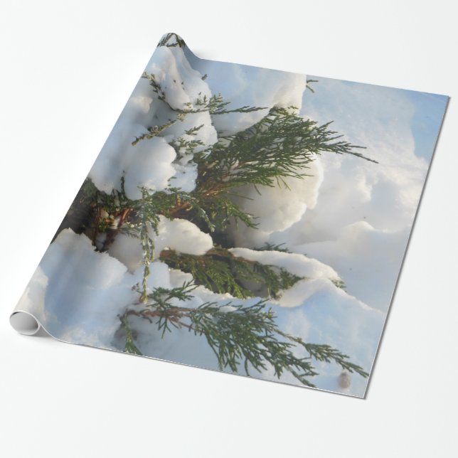 Papier Cadeau Arbre enterré par neige (Déroulé)