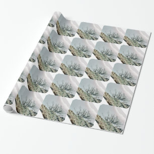 PAPIER CADEAU ARBRES