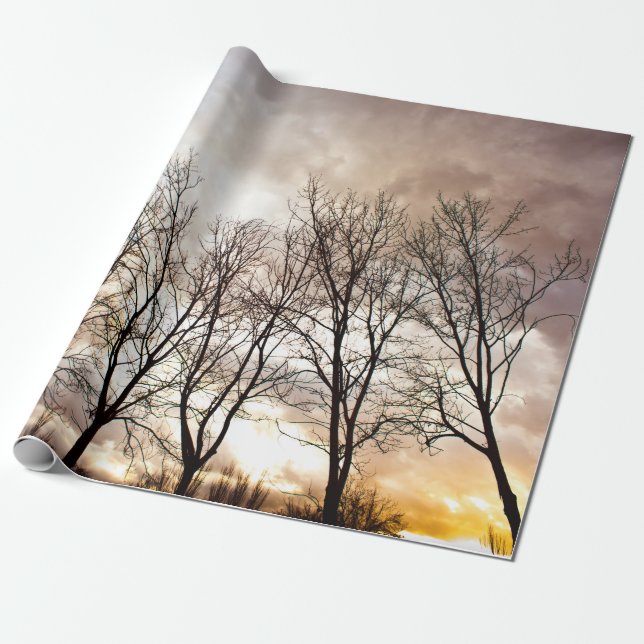 Papier Cadeau Arbres d'automne de chute au coucher du soleil (Déroulé)
