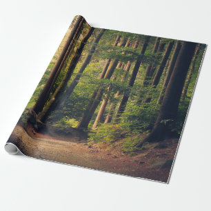 PAPIER CADEAU ARBRES FORESTIERS