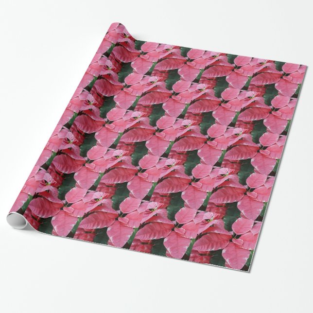 Papier Cadeau Argent Star Marbre Poinsettias Pink Holiday Floral (Déroulé)