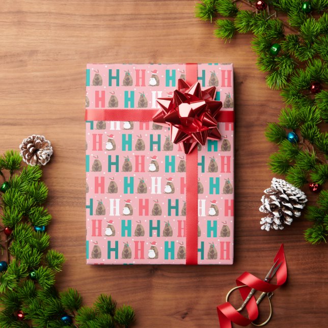 Papier Cadeau Armadillo Ho Ho Rose (Cadeau de vacances)