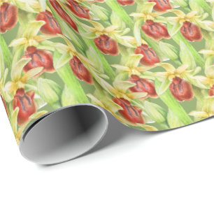 Papier Cadeau Armoire d'art d'aquarelle verte rouge botanique or