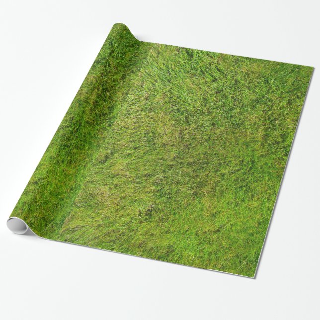 Papier Cadeau Arrière - plan de texture de motif d'herbe verte (Déroulé)