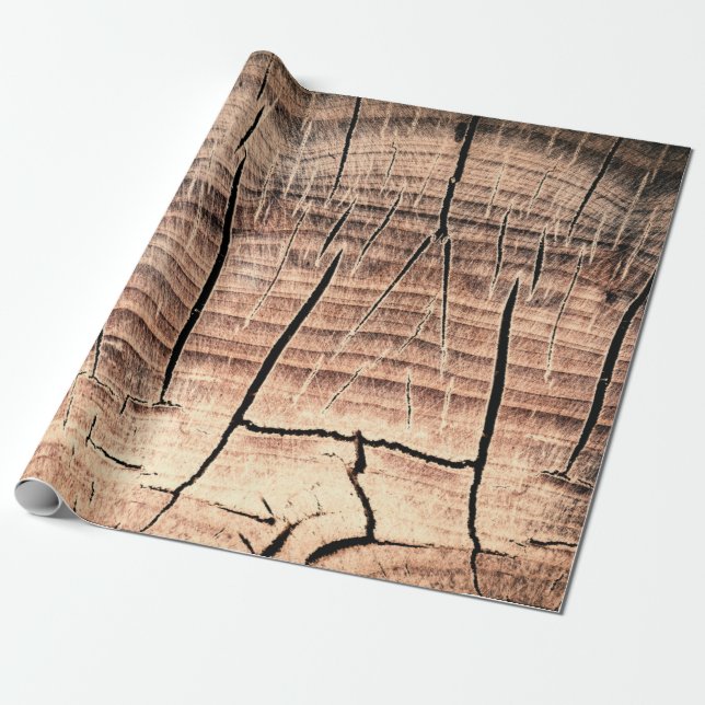 Papier Cadeau arrière - plan d'un stumpabstract en bois, âge, vi (Déroulé)