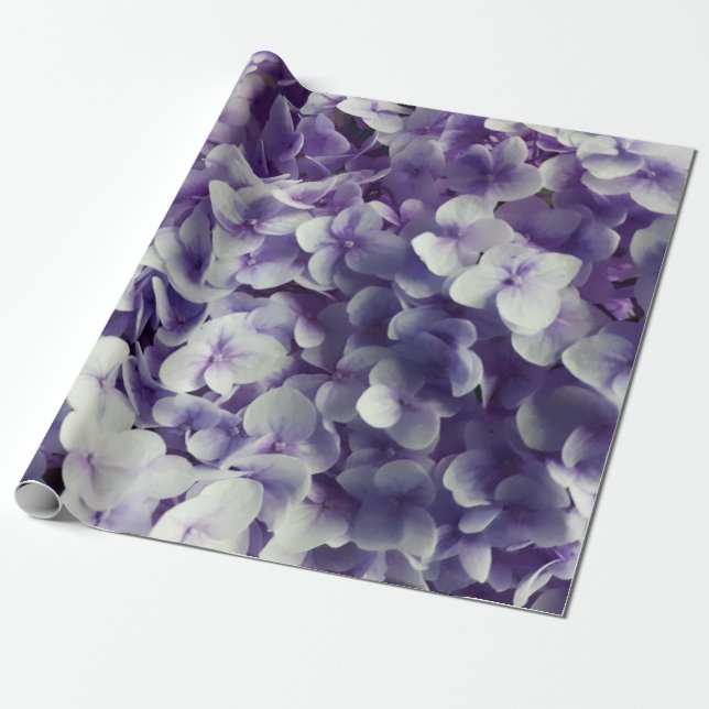 Papier Cadeau Arrière - plan pourpre de fleur d'hortensia (Déroulé)