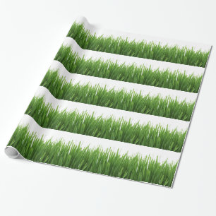 Papier Cadeau Arrière - plan vert