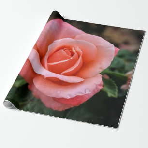 Papier Cadeau Art botanique romantique Rose Imprimer