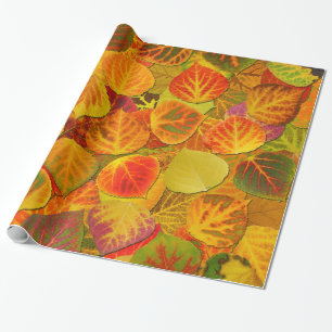 Papier Cadeau Aspen Feuilles Collage Solid Medley 1
