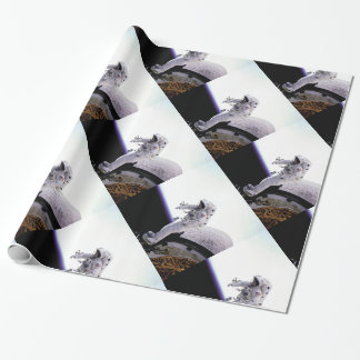 Papier Cadeau Astronaute américain