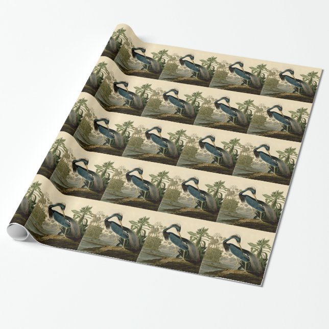 Papier Cadeau Audubon Louisiana Heron Birds America Art (Déroulé)