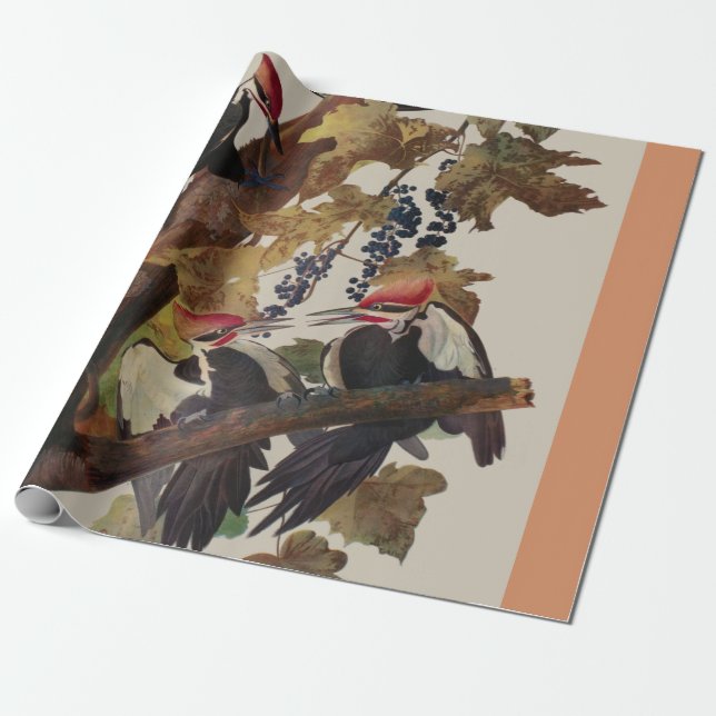 Papier Cadeau Audubon Peinture d'Oiseaux Pic Pilé (Déroulé)