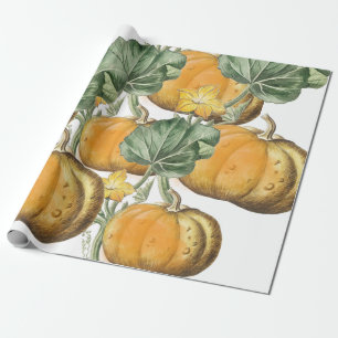 Papier Cadeau Automne Aquarelle d'automne Citrouilles Vintages