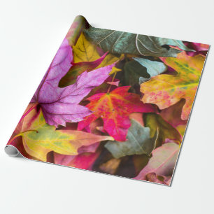 Papier Cadeau automne feuille d'érable coloré automne photo natu