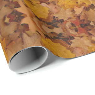 PAPIER CADEAU AUTOMNE LAISSE MOTIF