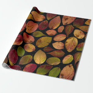 Papier Cadeau Automne Quitte le temps d'automne