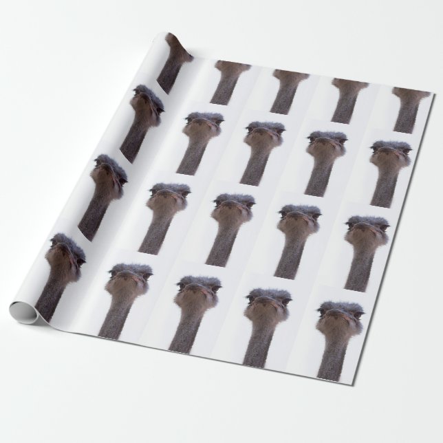Papier Cadeau autruche (Déroulé)