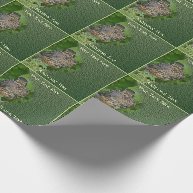 Papier Cadeau Baby Robin Jeune Oiseau Nature Personnalisée (Coin)