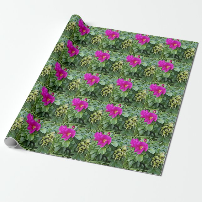 Papier Cadeau Baies de cynorrhodon | (Déroulé)