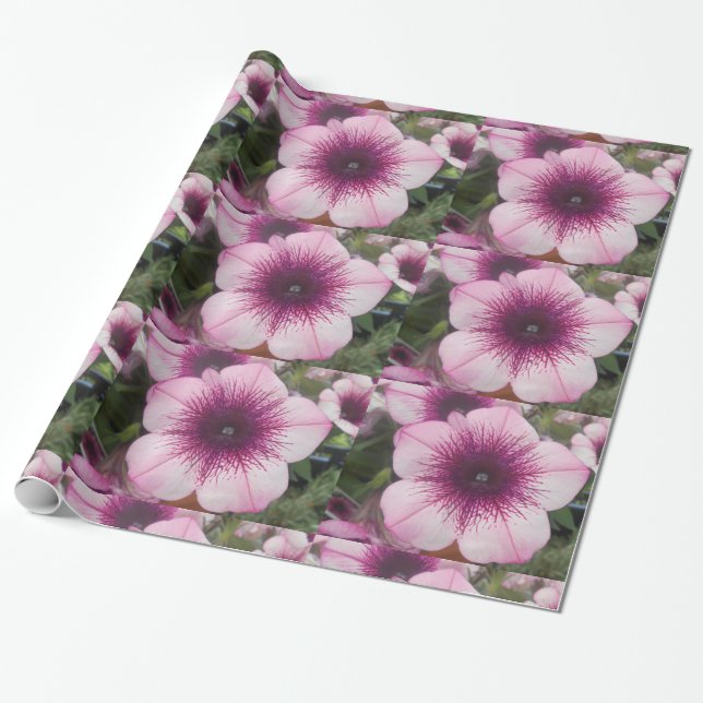 Papier Cadeau Baisers (Déroulé)