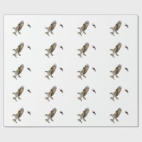 Balbuzard chassé par un merle à ailes rouges