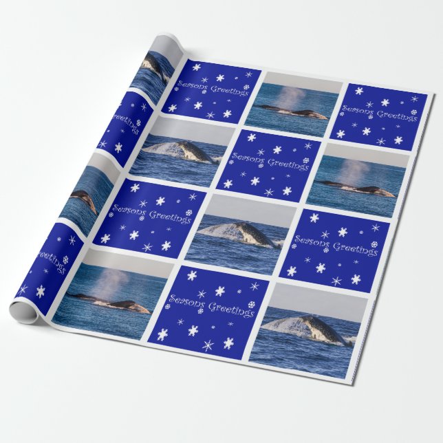 Papier Cadeau Baleine de bosse ouvrant une brèche Noël de (Déroulé)