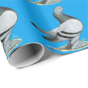 Papier Cadeau Barre Bleue Berliner Tumbler Pigeon