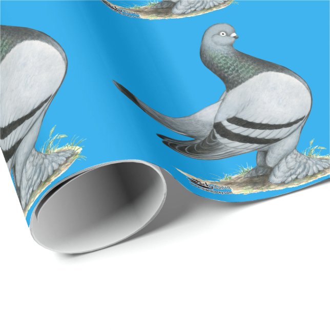 Papier Cadeau Barre Bleue Berliner Tumbler Pigeon (Coin rond)