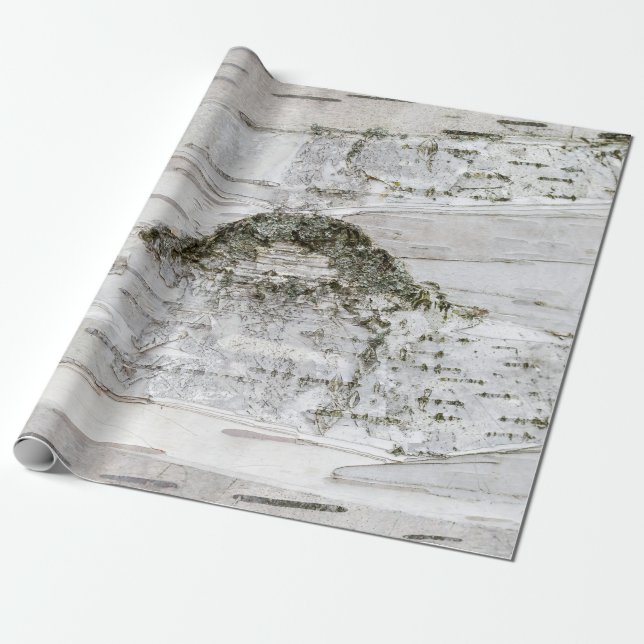 Papier Cadeau Barre de bouleau (Déroulé)