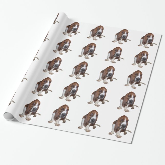 Papier Cadeau Basset Hound (Déroulé)