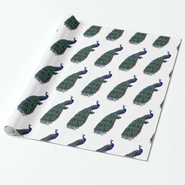 Papier Cadeau Beau paon (Déroulé)